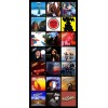BOB SEGER album discography magnet (3.5" x 4.5" magnet)