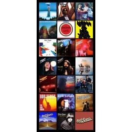 BOB SEGER album discography magnet (3.5" x 4.5" magnet)