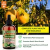 𝐁𝐄𝐒𝐓𝐒𝐄𝐋𝐋𝐄𝐑 Plant Superfood for Olive Tree with B1 Vitamin, Glucose