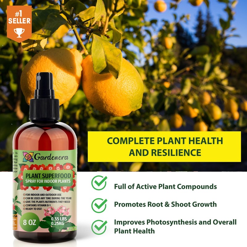 𝐁𝐄𝐒𝐓𝐒𝐄𝐋𝐋𝐄𝐑 Plant Superfood for Olive Tree with B1 Vitamin, Glucose