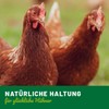 HÜHNER Land Egg Fit for Laying Hens 500 g -