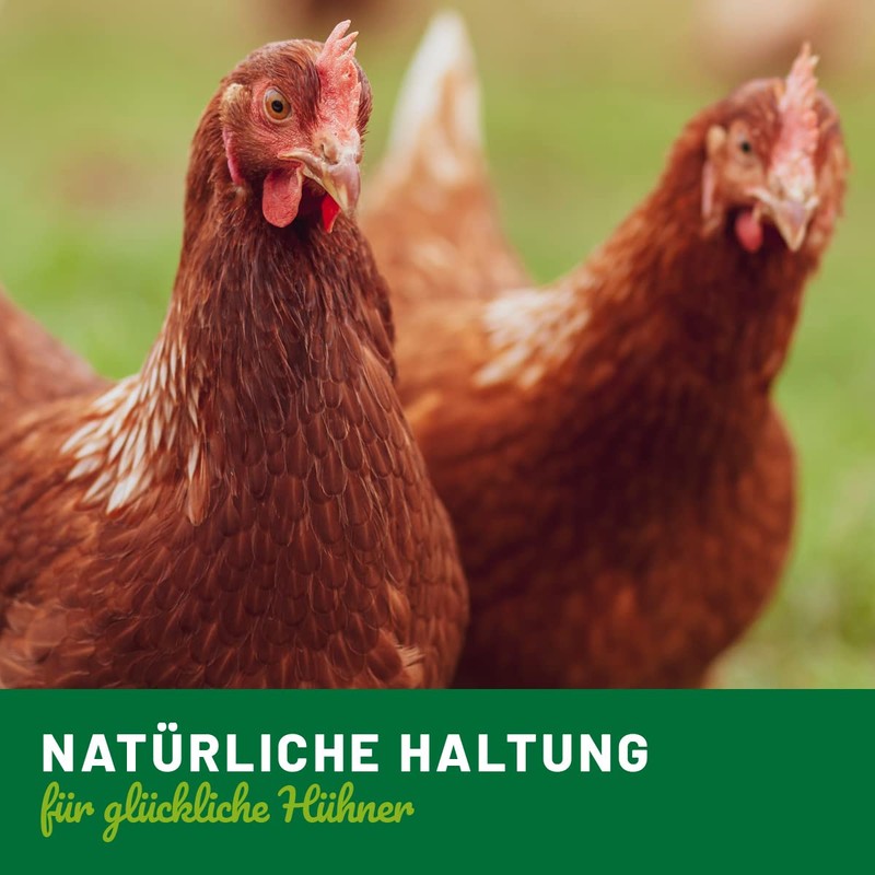 HÜHNER Land Egg Fit for Laying Hens 500 g -