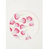 toumei Pressed Flower Carnation Coasters Set of 4 in a