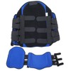 Adjustable Waist Back Brace Fracture Recovery Breathable Lumber Spine Support