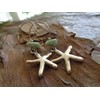 (Almost) real large starfish earrings on long hooks