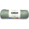 Caron Simply Soft Acrylic Aran Knitting Wool Yarn 170g -