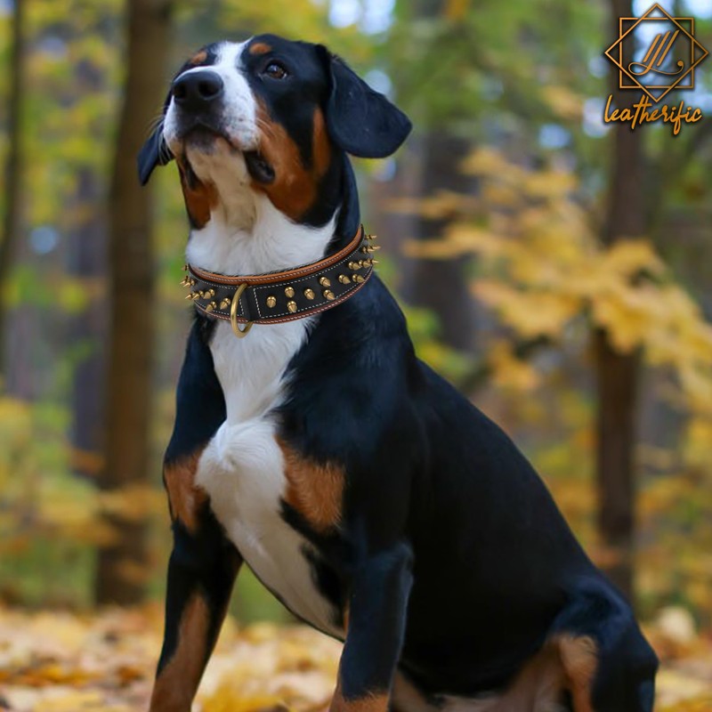 Genuine Leather Dog Collar by Leatherific, Premium Bridle Leather, Heavy