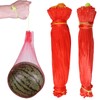 Honeydew Melon Hammock for Trellis, Pack of 100 45 cm