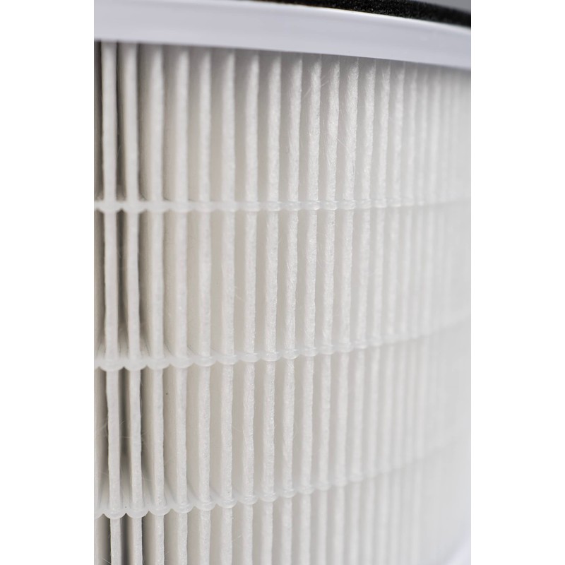 Airvana Replacement True HEPA Filter for AV600APH 2-in-1 True HEPA