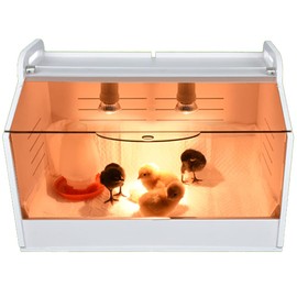 JAEDO Chick Brooder Brooding Box (20" x 16" x 16")