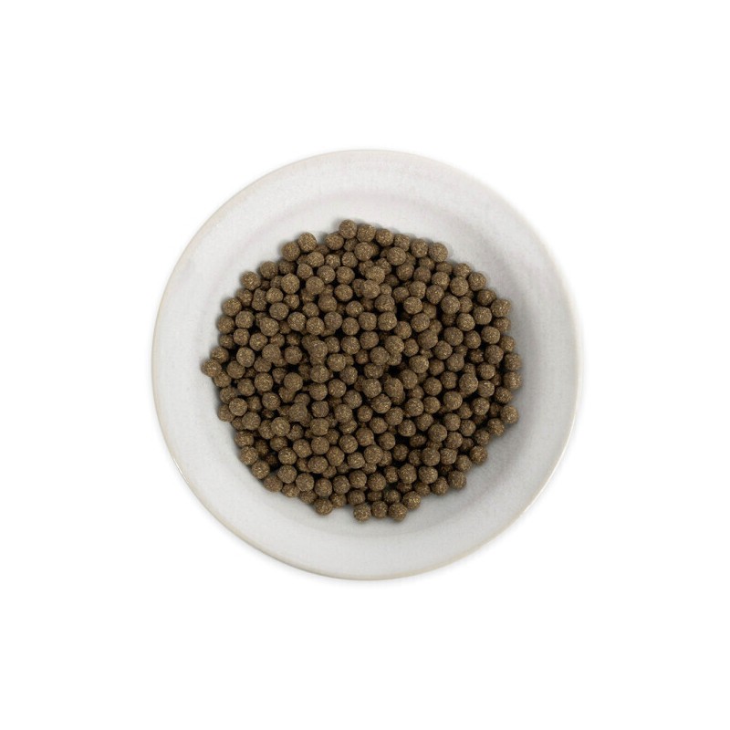 Domestic Cheonma pills 200g Domestic Cheonma root pills / 국산
