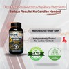 WellBoost WellBoost Creatine Gold C 5000mg Creatine Monohydrate, Vegan, Sugar-Free