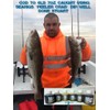 searigs™ Fish Blood Natural sea fishing Bait Capsules for attracting