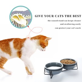 GDCZ Ceramics Raised Cat Small Dog Bowls with Heighten Metal Stand for Pet Food and Water Dishes, 15 Ounces (Grey)