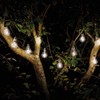 Smart Garden 1060301 Eureka! Retro String Lights - 10 Bulbs