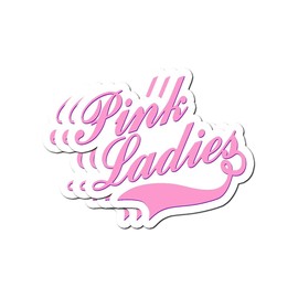 WillettaStore Pink Ladies Stickers (3 Pcs/Pack)