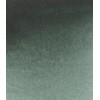 Schmincke : Horadam Watercolour Paint : 5ml : Perylene Green