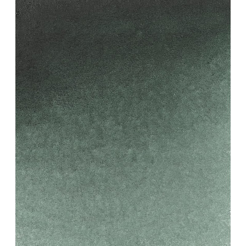 Schmincke : Horadam Watercolour Paint : 5ml : Perylene Green