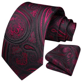 HISDERN Black Tie Red Paisley Ties for Men Handkerchief Woven Classic Men's Necktie Pocket Square Set