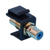 RiteAV RCA Blue Keystone Coupler Black Female/Female