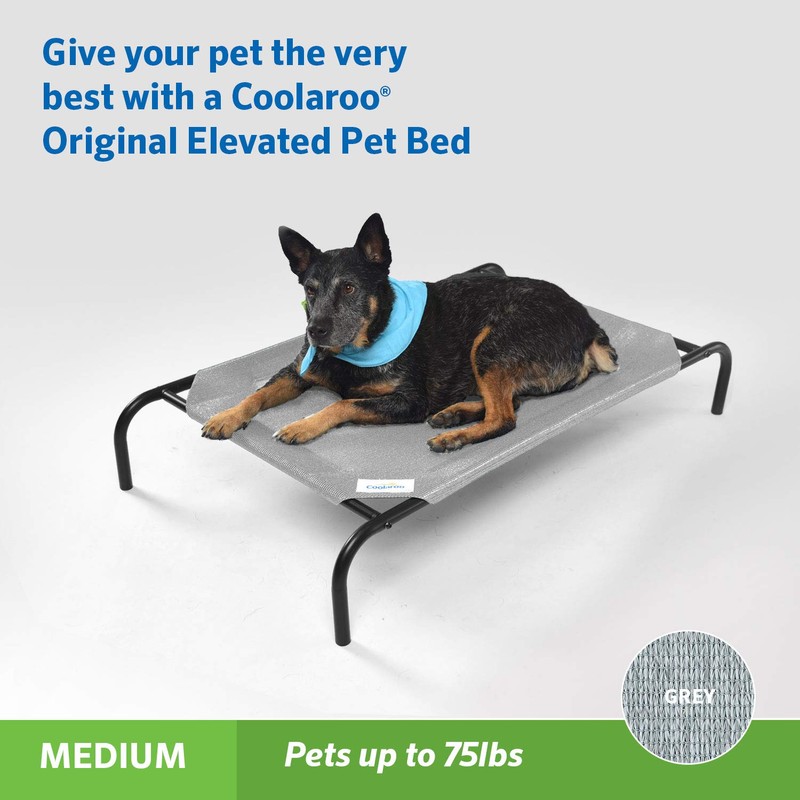 Coolaroo COOLAROO The Original Cooling Elevated Dog Bed, Indoor and