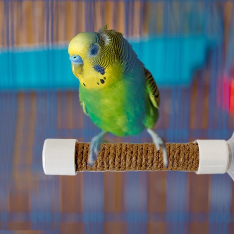 Window Perch for Birds | Parakeet Training Stand | Suction