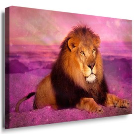 Julia-Art - Canvas Picture XXL 40 x 30 cm 1 Piece Wall Picture with Stretcher Frame - Art Prints White Lions Albino Animals Predators Africa Wildlife N-c-8-a-71