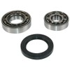 ABS 200063 Wheel Bearing Kit