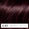 Clairol Colour Strong Permanent Hair Dye - 4.63 Sunset Mauve