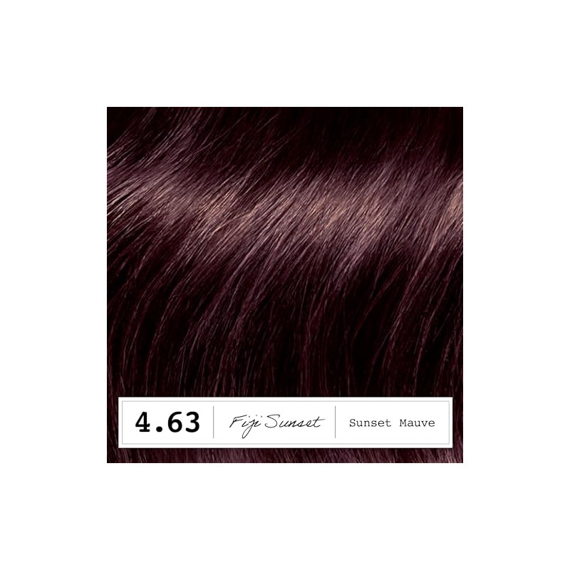 Clairol Colour Strong Permanent Hair Dye - 4.63 Sunset Mauve