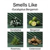 Aronica Twin Sola Diffuser 160ml_Eucalyptus and Bergamot Essential Oil Flower