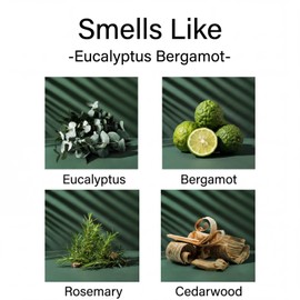 Aronica Twin Sola Diffuser 160ml_Eucalyptus and Bergamot Essential Oil Flower Diffuser, Non Toxic Reed Diffusers, Beach Themed Home Room Decor, Natural Gift for Men, Beach Scent