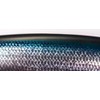 Shimano XM-099P Exsence Silent Assassin Sea Bass Lure, Minnow, 99SP,