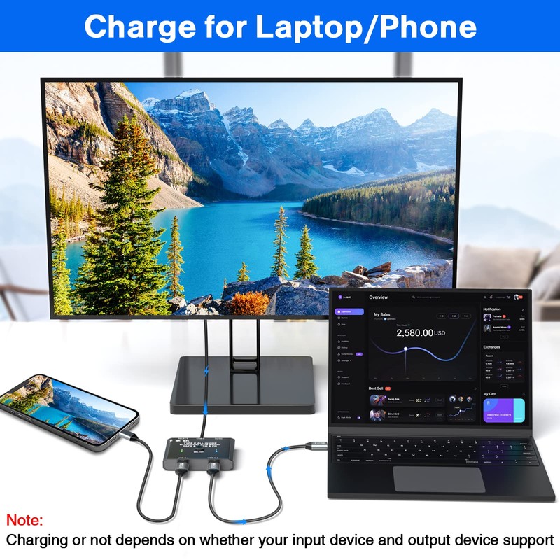 USB C Switch 2 in 1 Out USB C Switcher