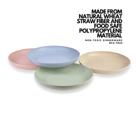 Hooper Skies 4 Pack Wheat Straw Plates - Unbreakable Plates - 10 Inch Biodegradable Plate Set