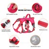 Escape Proof Dog Harness Medium Sized Six Point Adjustable, Soft