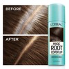 L'Oreal Paris Hair Color Root Cover Up Hair Dye Black