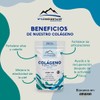 COLAGENO HIDROLIZADO EN POLVO 100% PURO, LIBRE DE GRASA, AZUCAR,