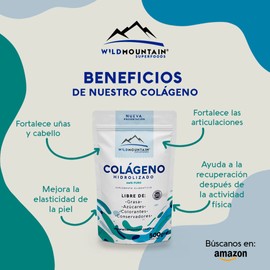 COLAGENO HIDROLIZADO EN POLVO 100% PURO, LIBRE DE GRASA, AZUCAR, COLORANTES, CONSERVADORES, BOLSA 500gr.