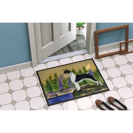 Caroline's Treasures SS8201MAT Basenji Indoor Outdoor Doormat, 18" x 27", Multicolor