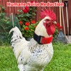 14 Pcs No Crow Rooster Collar to Stop Crowing, Soft