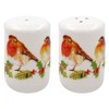 Winter Robin Design Fine China Salt and Pepper Shaker Pots