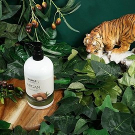SS62 Argan Frizzy Hair Hair Treatment 500ml - ONECOLORFREE / 에스에스62아르간 푸석한모발 헤어트리트먼트 500ml - ONECOLORFREE