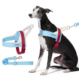 VETRESKA Dog Harness No Pull, Easy Control No Choke Dog Harness Collar for Large, Medium Size Dogs, Adjustable Dog Vest, Easy Walk Pet Vest Harness with Heavy Duty Anti-Twist Dog Leash, Misty Melo L