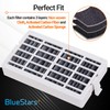BlueStars W10311524 Fresh Flow Air Filter - Replacement Refrigerator Air