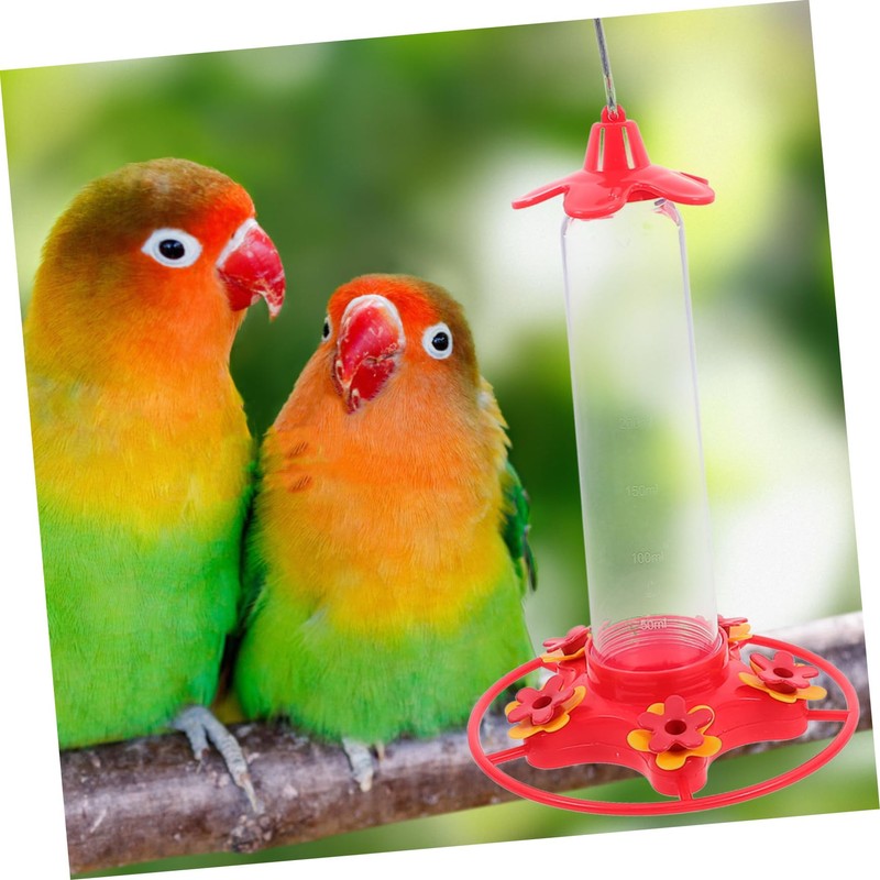 Kisangel 2pcs Hummingbird Feeder Design for Outdoor Garden and Clean