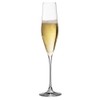 Urban Bar Champagne Flute, Bacci Lead Free Crystal 19cl Model