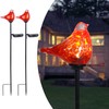 Afirst Solar Outdoor Lights Decorative - Solar Garden Stake Lights