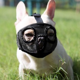 Bozales Cortos para Perro, bozal de Malla Transpirable Ajustable para morder, Masticar, ladrer, Entrenamiento de Perro