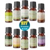MEVA kit de 10 aceites aromaterapia difusor de aromas humificador